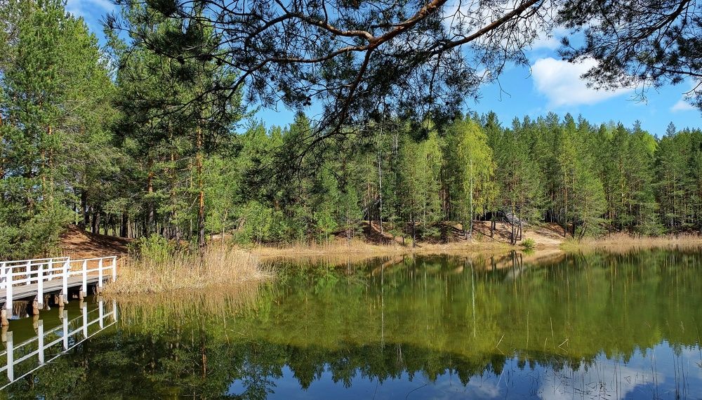 Photograph by Кузьмин Юрий