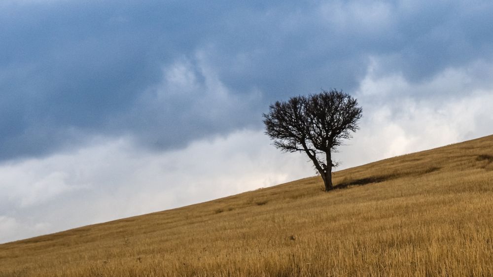 Photograph by Bavehie Farbod