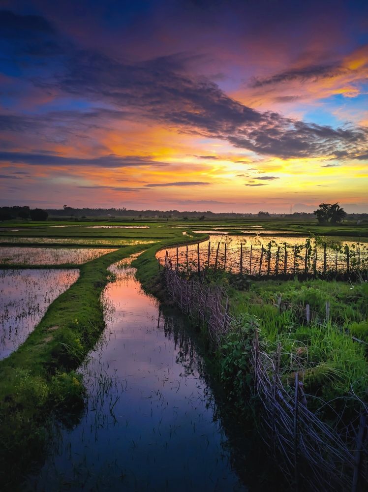 Фотография автора Ramprasad Das