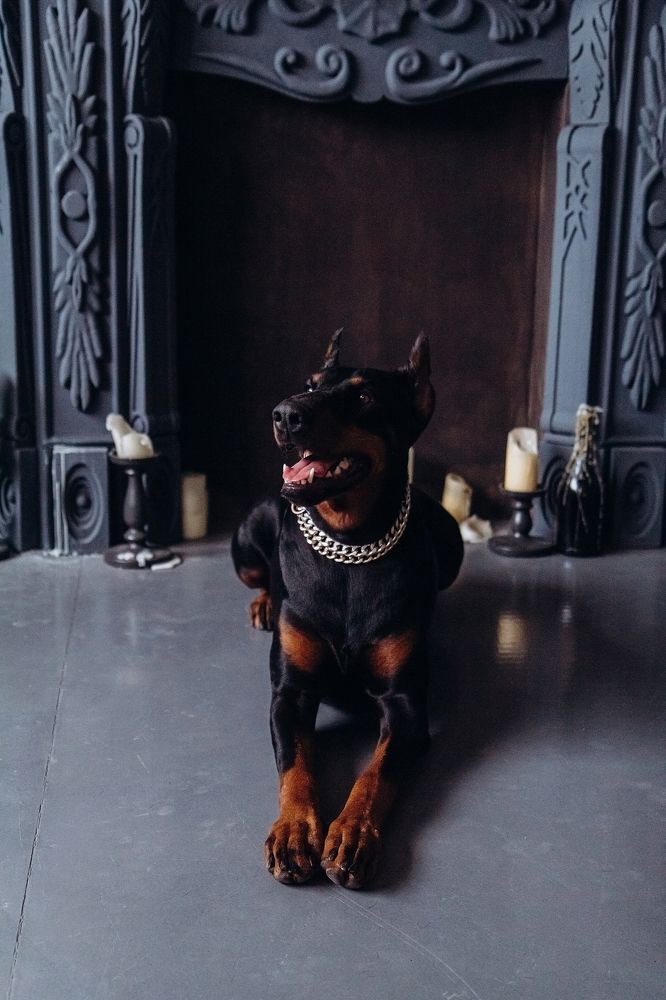 Photograph by Татьяна Мелехина