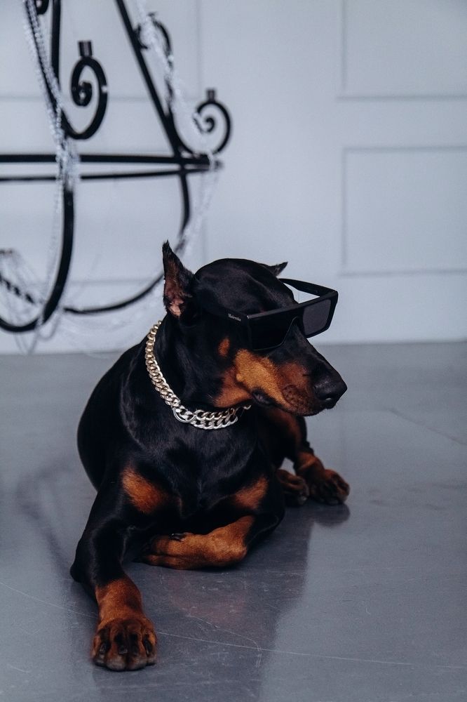 Photograph by Татьяна Мелехина