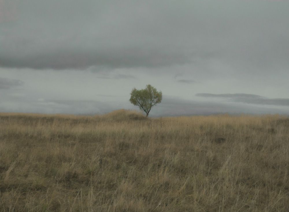 Photograph by Виктор Карпухин