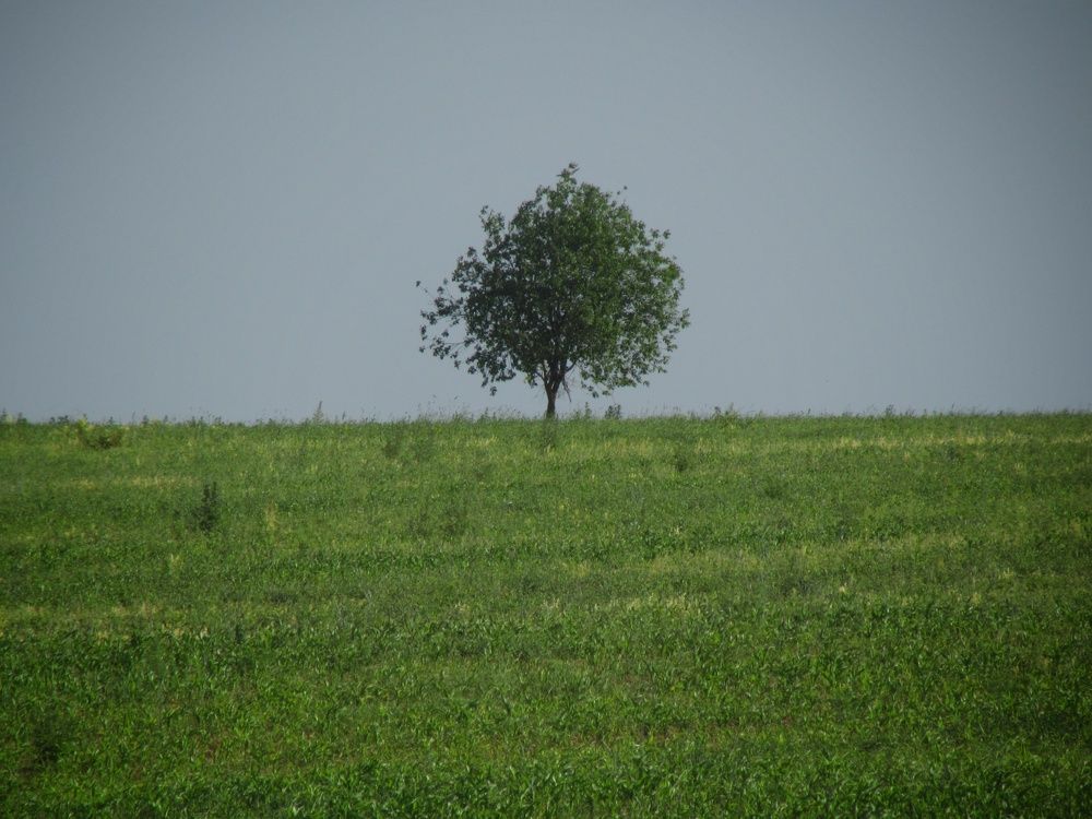 Photograph by Prohor