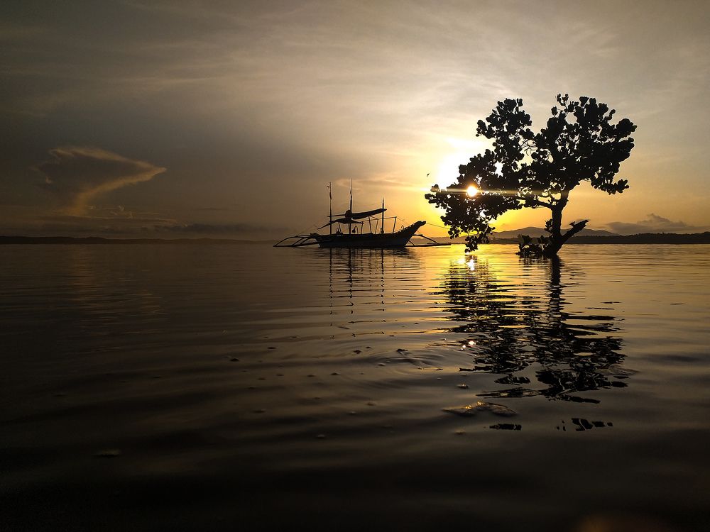 Sunrise near the sea