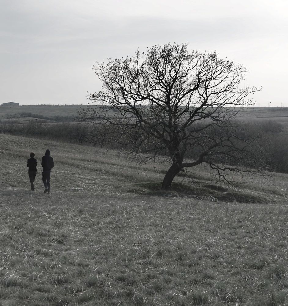 Photograph by Сергей Кошин