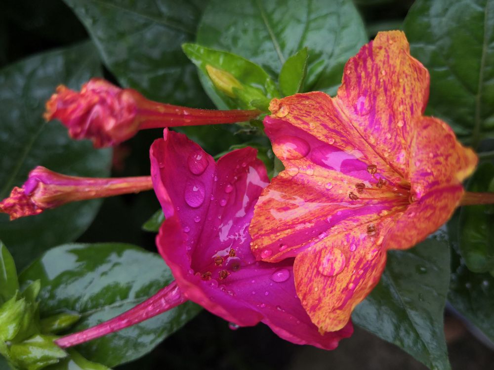 После дождя