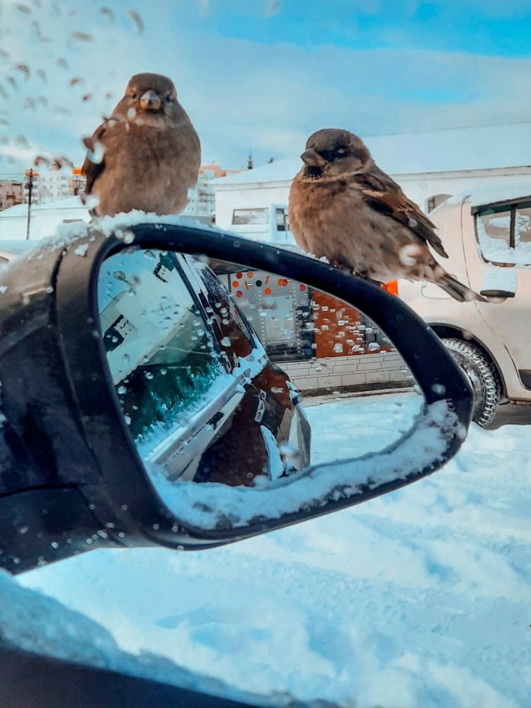 Photograph by Сергей Белокуров