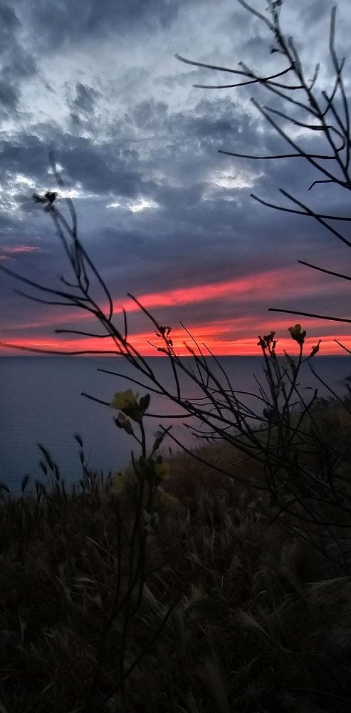 Photograph by INNA KHOMENKO