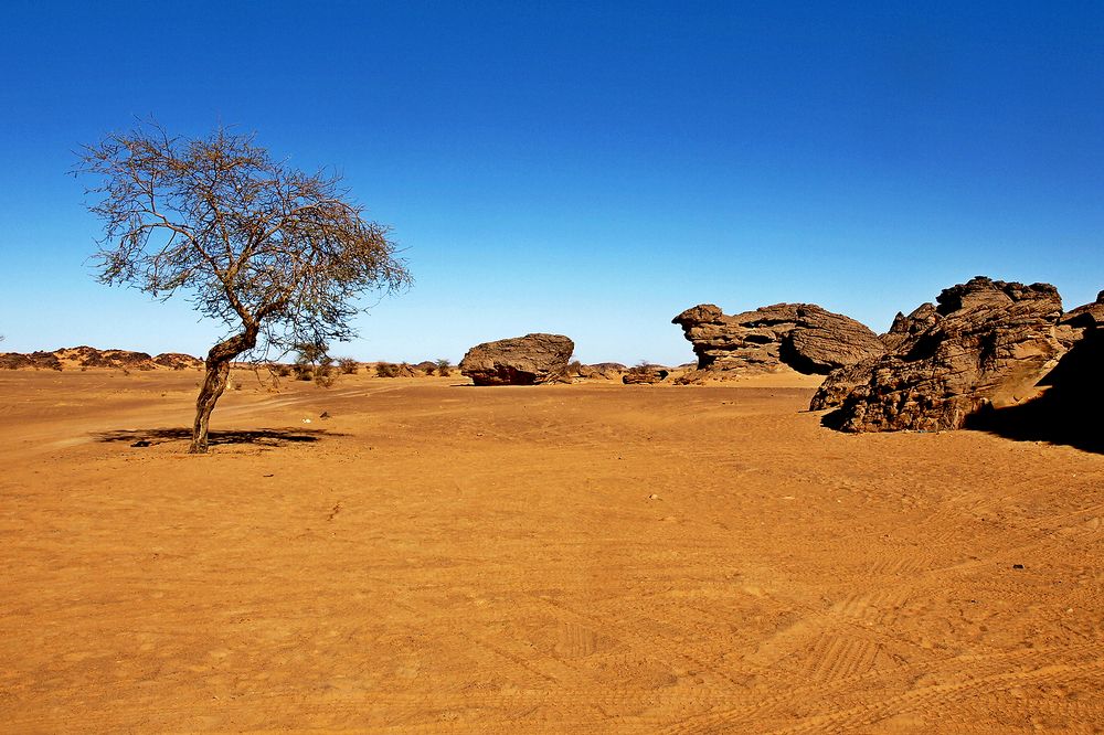 Photograph by Переслегин Александр