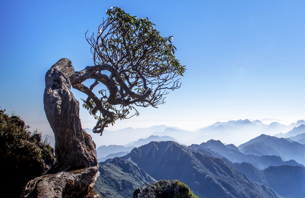 Photograph by Nguyễn Cường