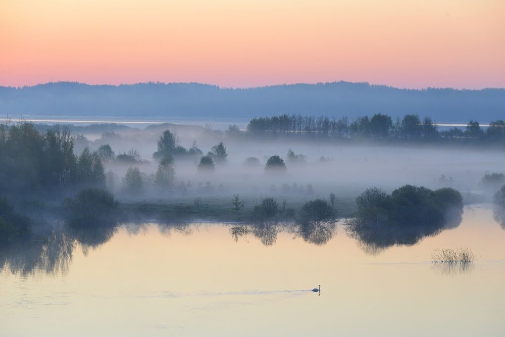 Photograph by Mikhail Novikov