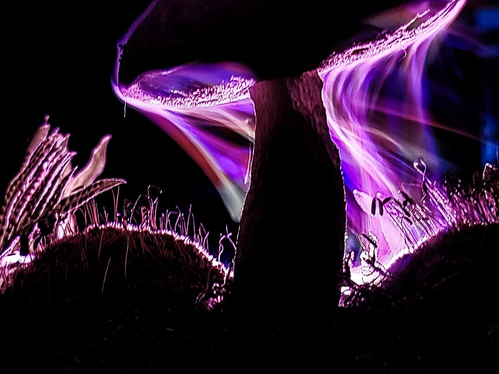 Photograph by FABIO SARTORI