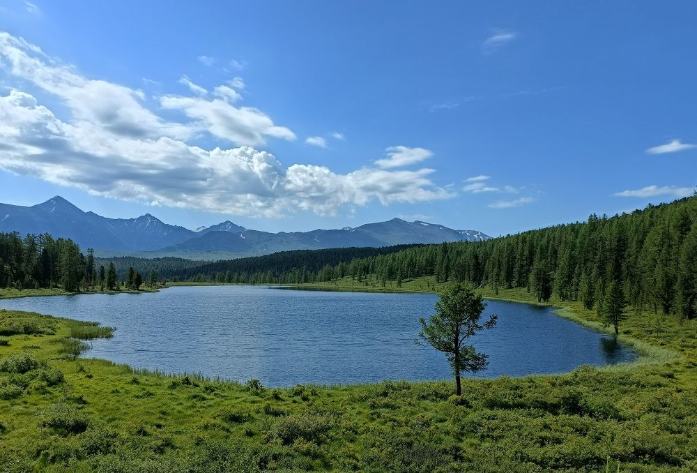 Фотография автора Татьяна Лука