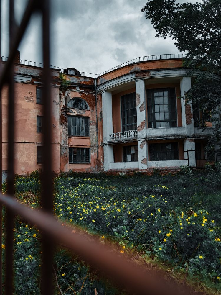 Photograph by Сафронов Александр