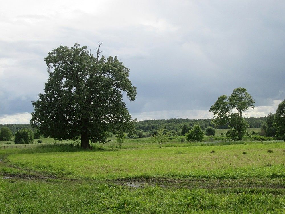 Photograph by Михаил Попов