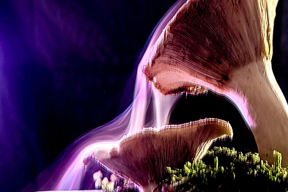 Photograph by FABIO SARTORI