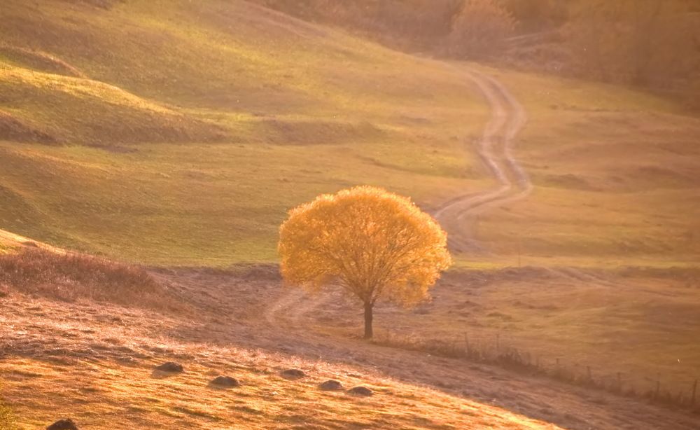 Фотография автора Александр Лукин