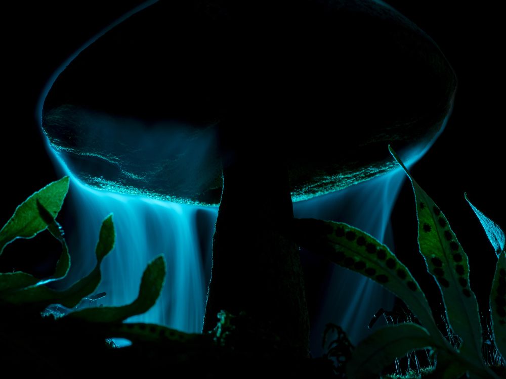 Photograph by FABIO SARTORI