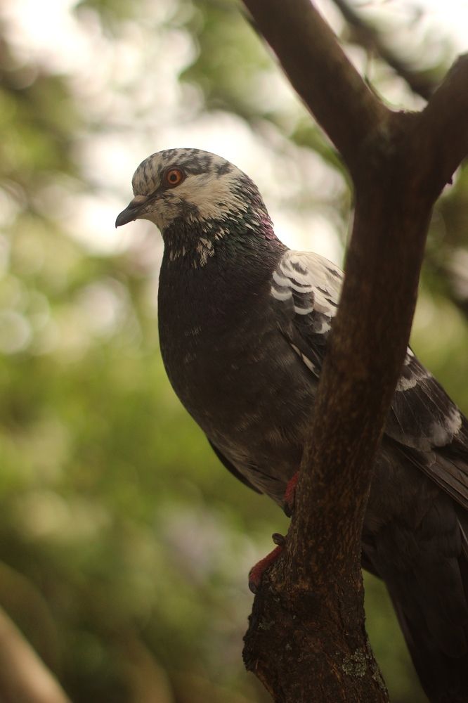 Photograph by Софья Белова