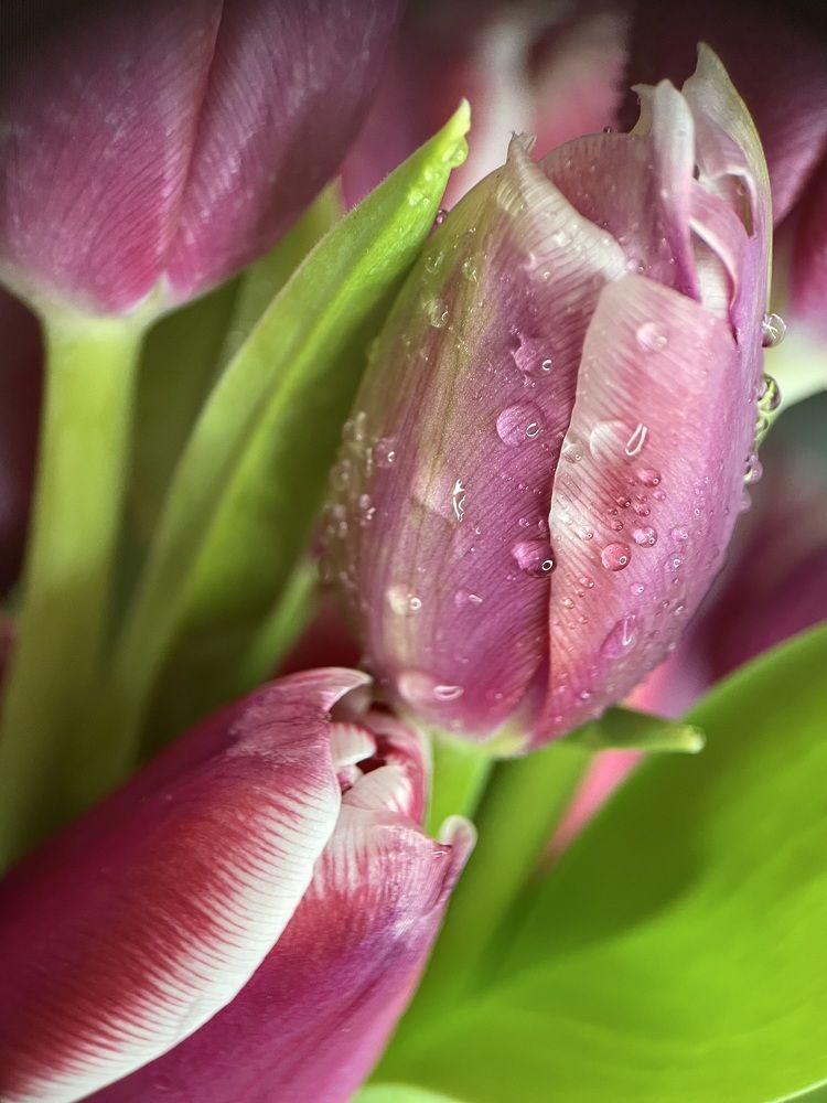 Фотография автора Рамзия Хисамутдинова