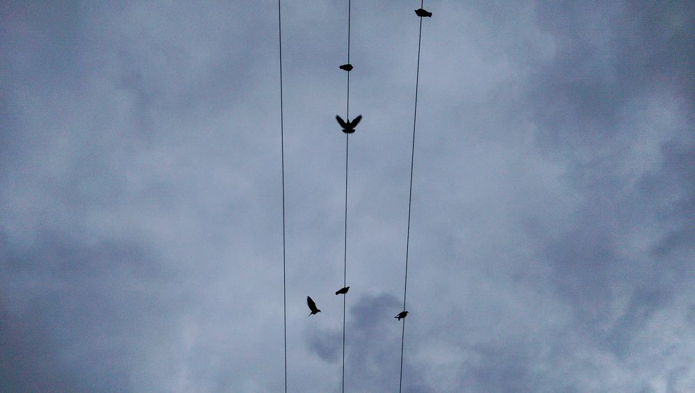 Photograph by Ehsan Fathi