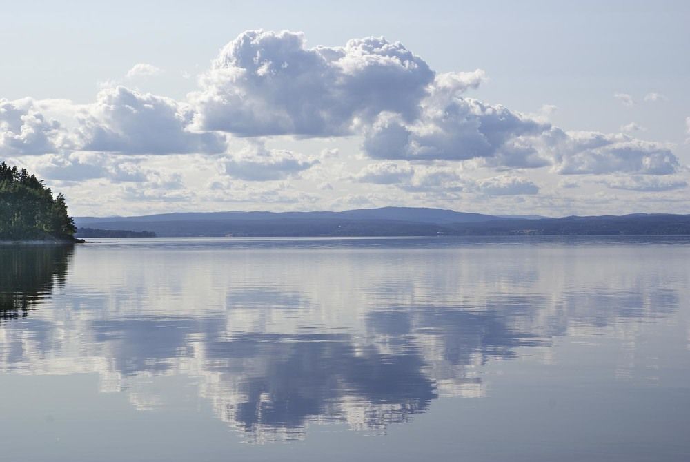 Фотография автора Татьяна Добровольская