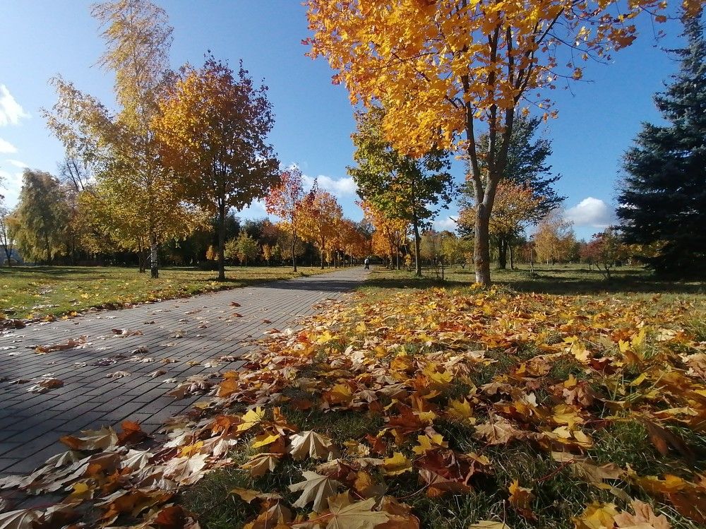 Фотография автора Екатерина Счасная