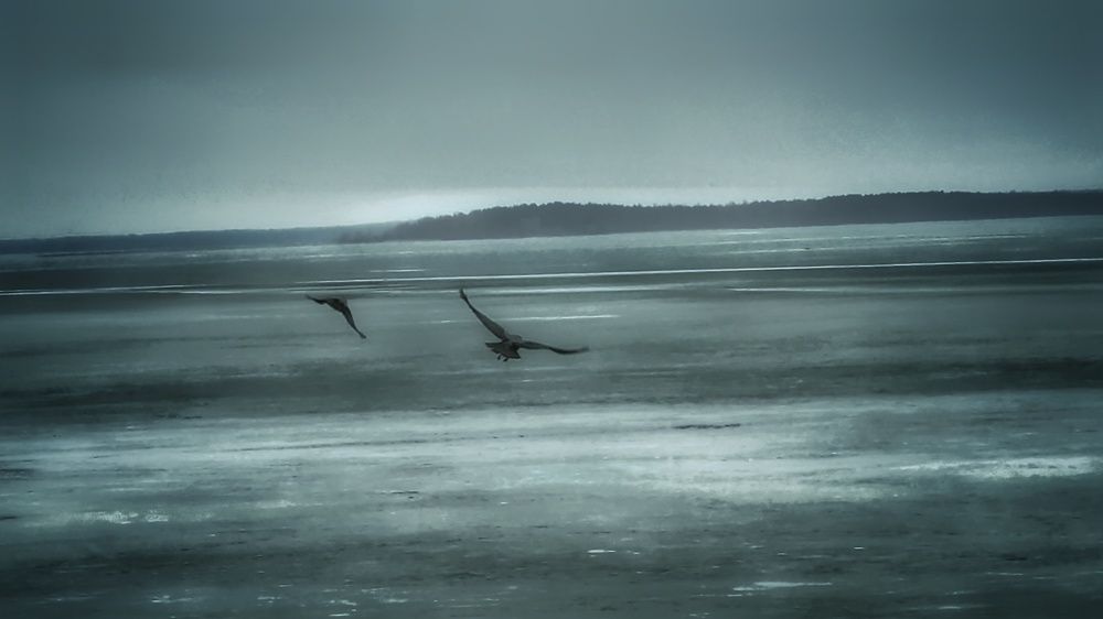 Фотография автора Максим Светличный