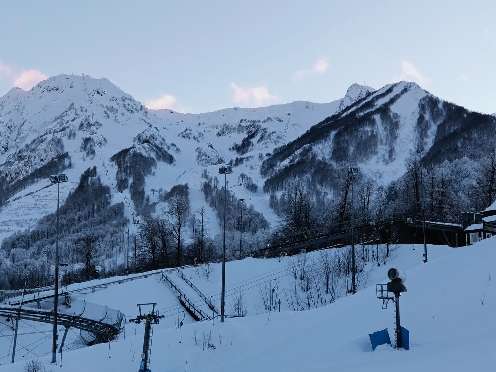 Photo #10652643