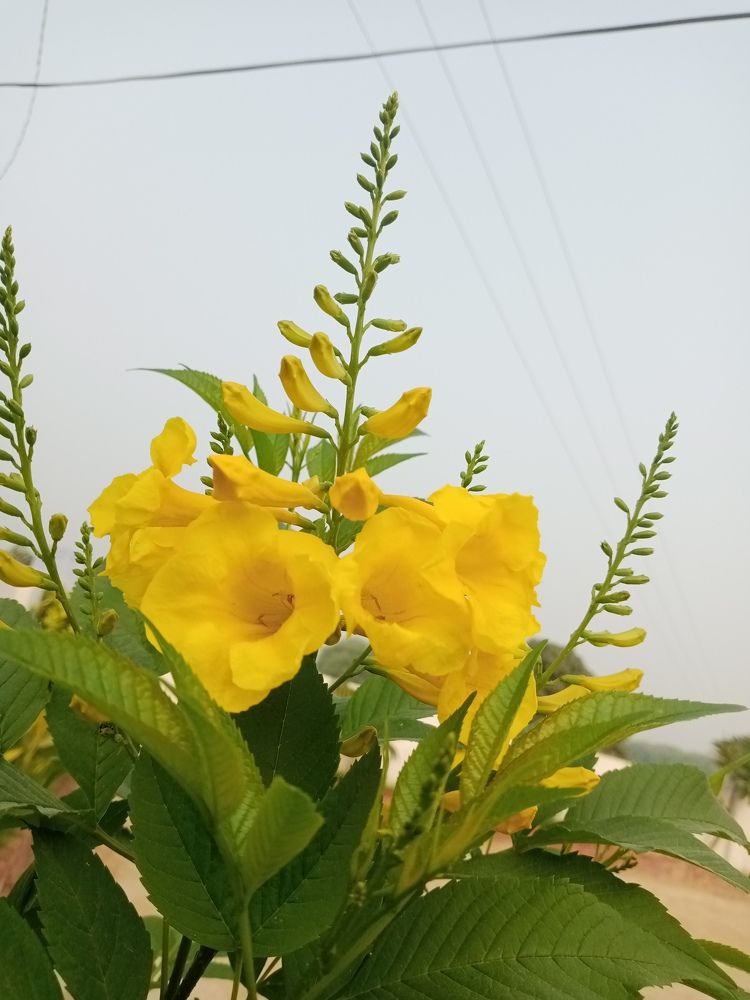 Photo #10652659