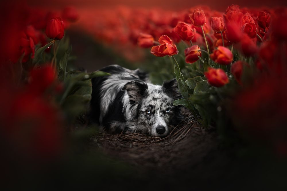 Photograph by Fleur Scholte