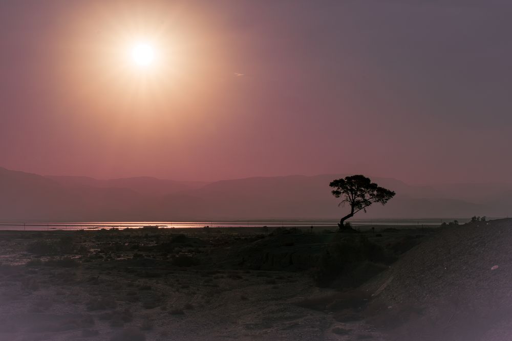 Photograph by Думнова Алёна