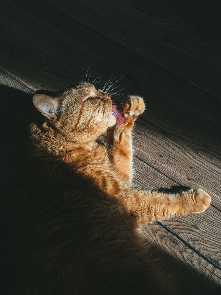 Фотография автора Oksana Yurasova