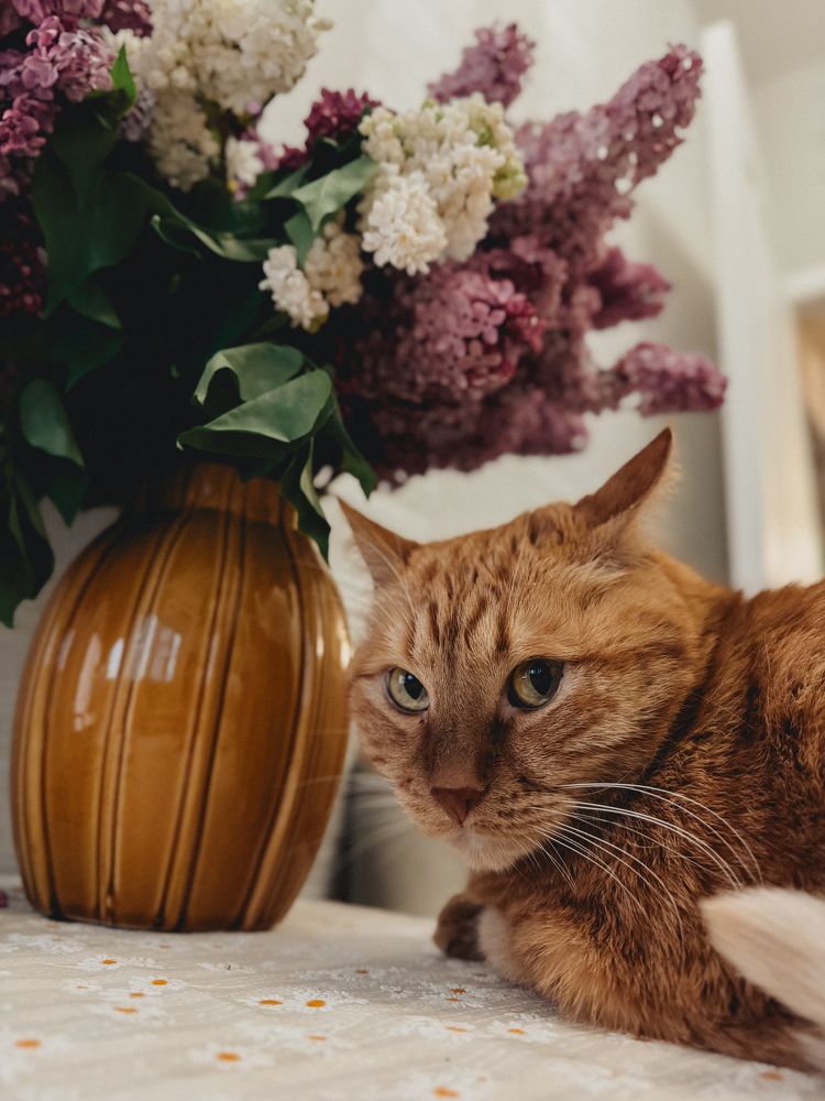 Фотография автора Oksana Yurasova