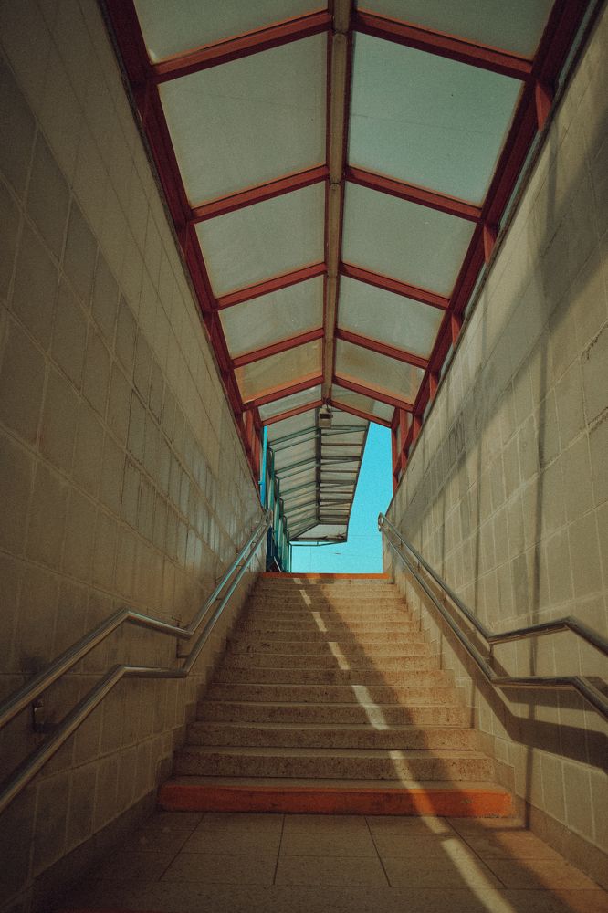 Фотография автора Ксения Вабищевич