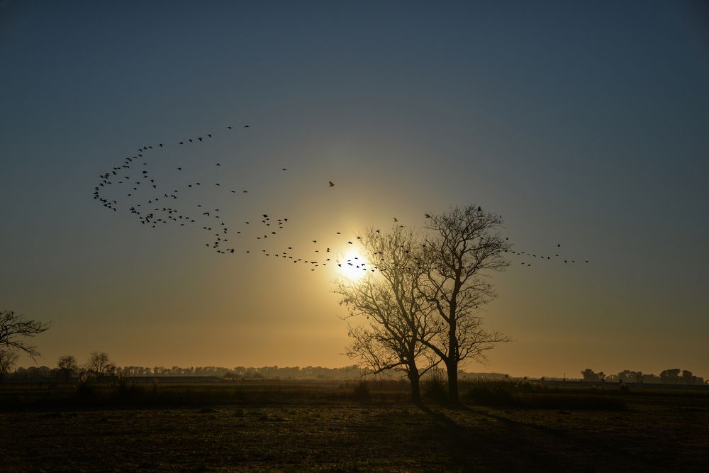 Photograph by Ricardo Kimmich