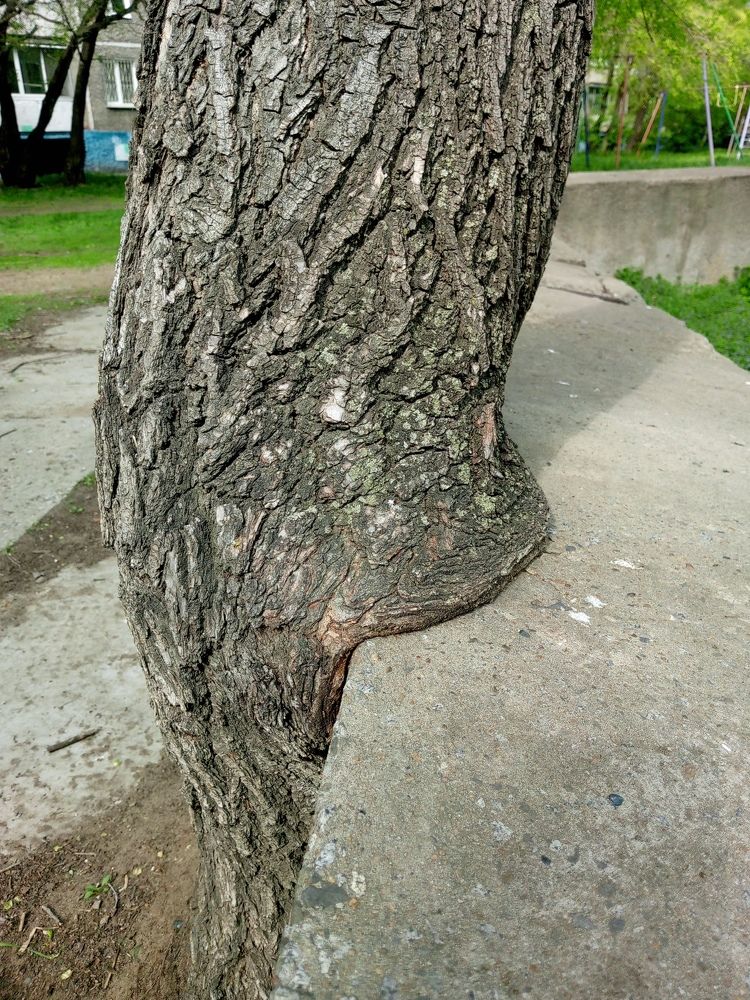 Photograph by Света Раннева