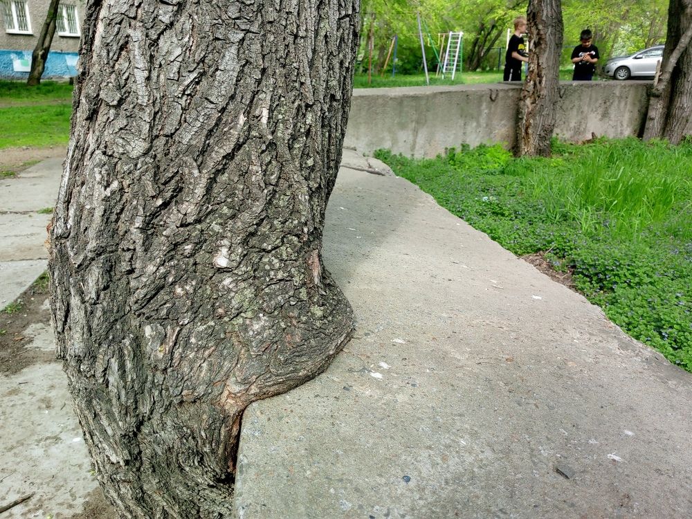 Photograph by Света Раннева