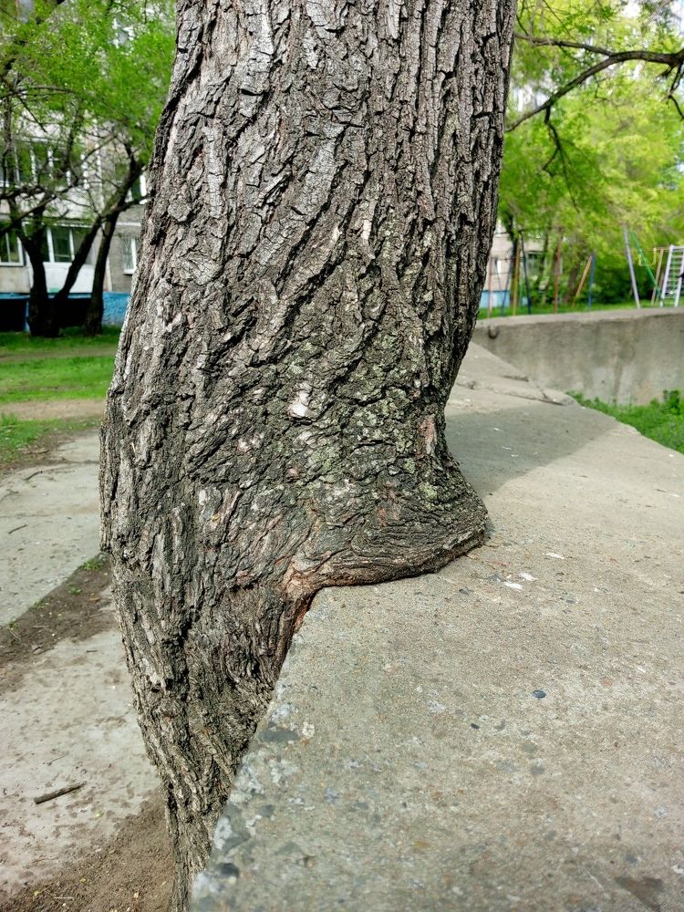 Photograph by Света Раннева