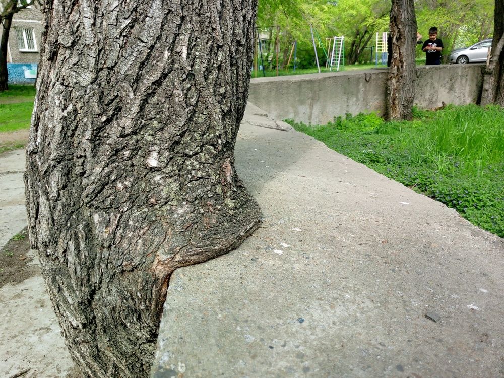 Photograph by Света Раннева