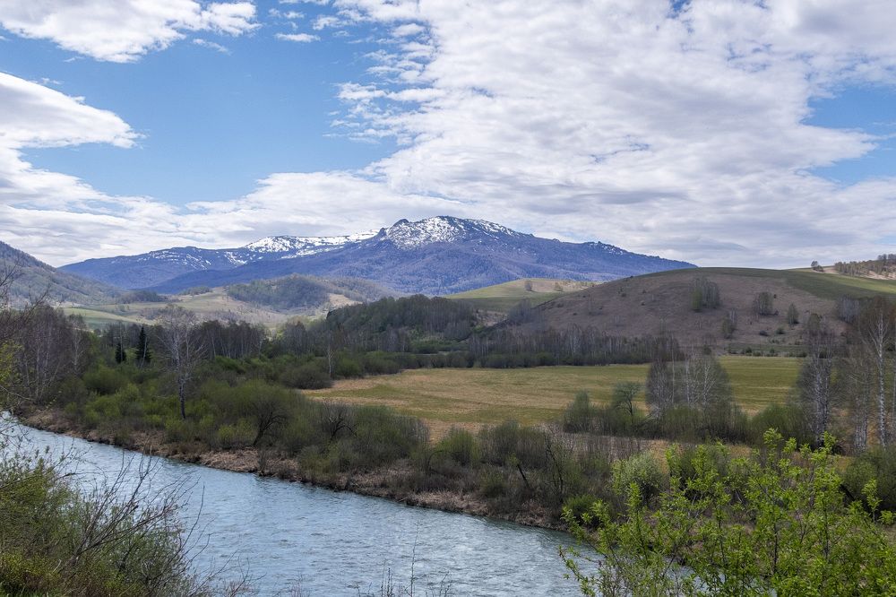 Берег реки Ануй