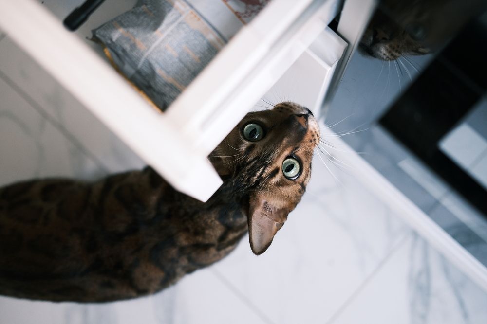 Photograph by Ольга Леоненко