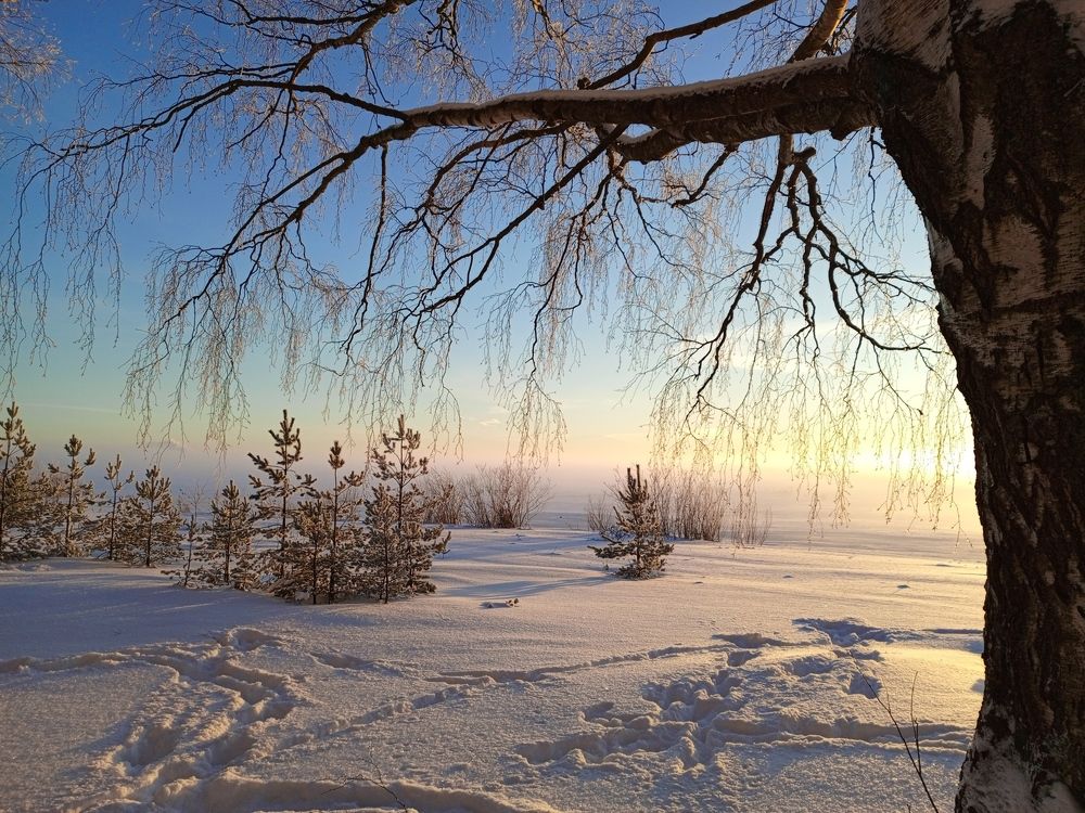 Photograph by Светлана К