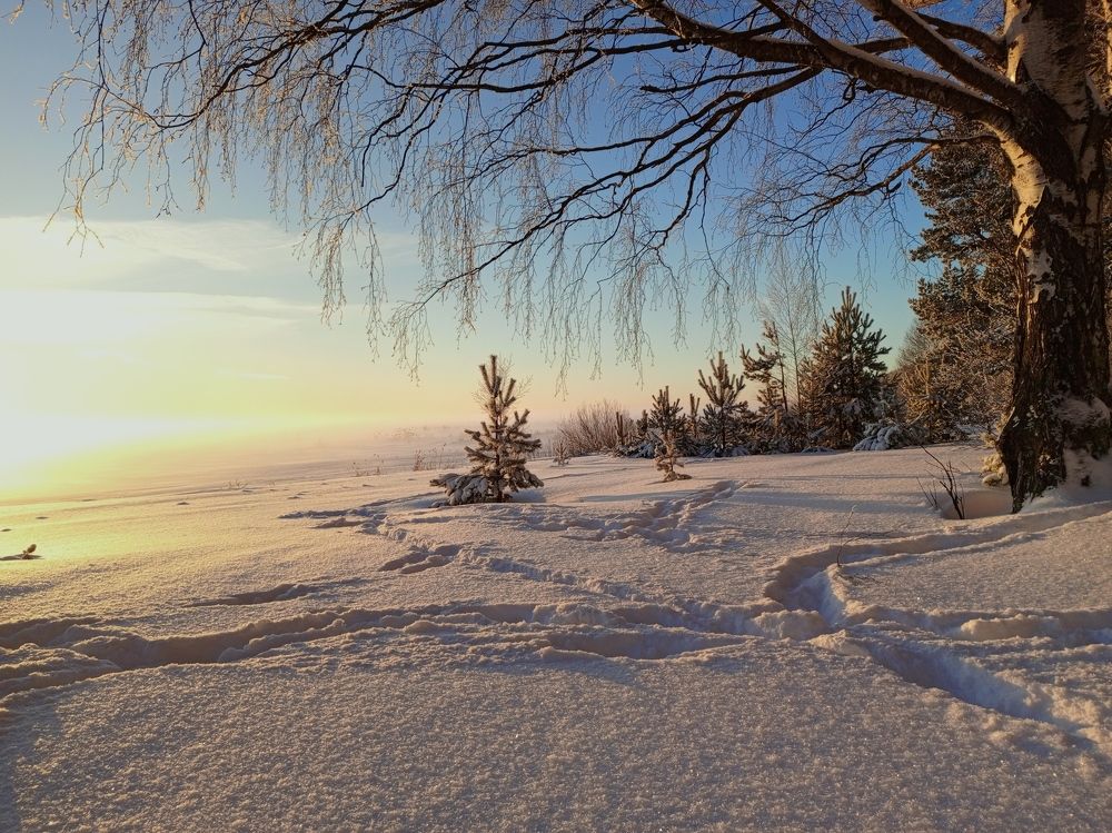 Photograph by Светлана К