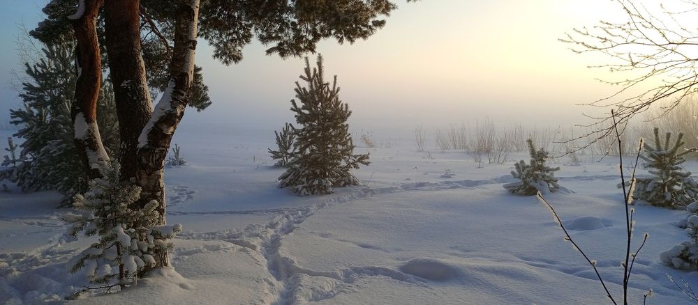 Photograph by Светлана К