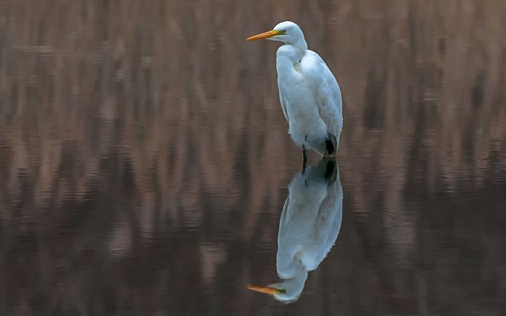 Photograph by константин