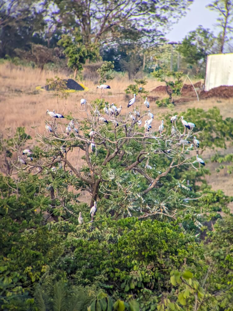 Photograph by Akash Rajurkar