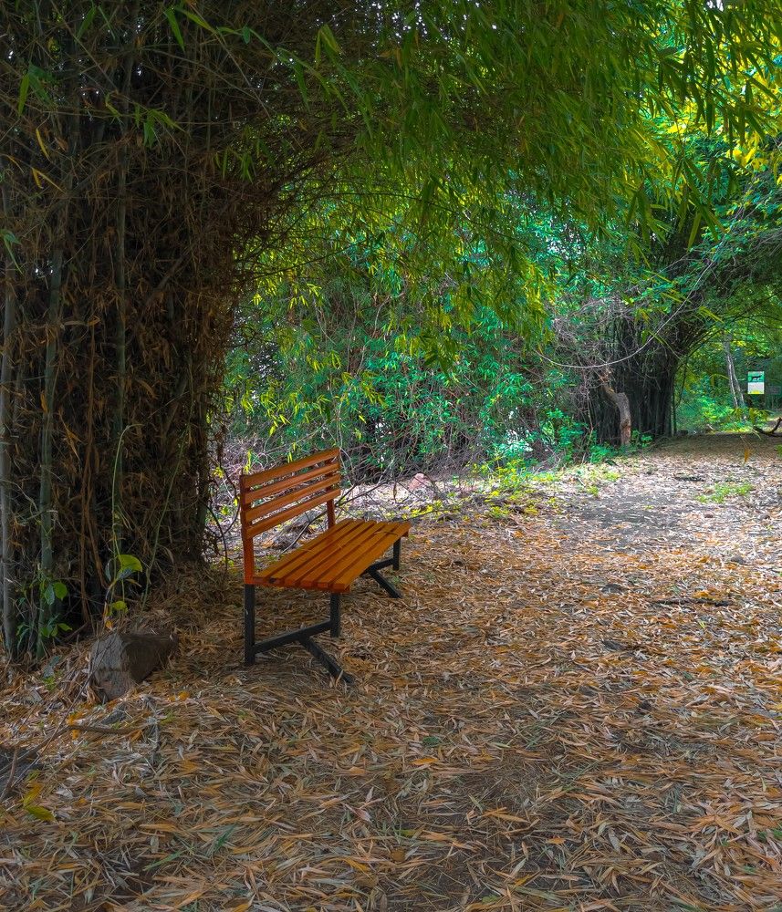 Photograph by Akash Rajurkar