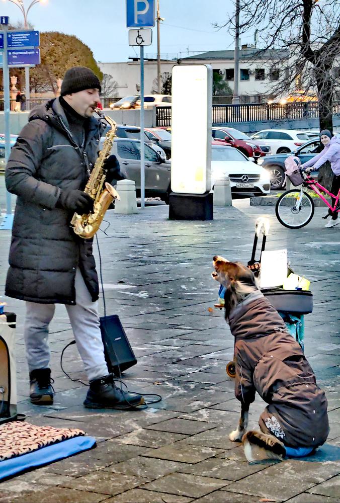 Преданный слушатель