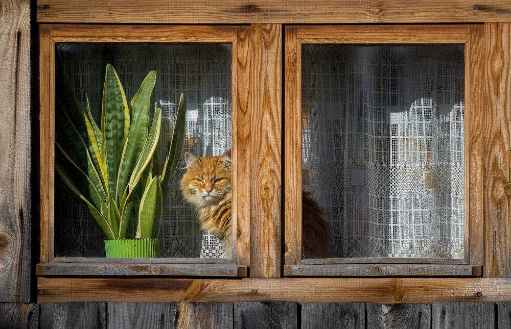 Photograph by Галина Павлова